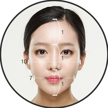 Proportion — facial contour proportion measurement