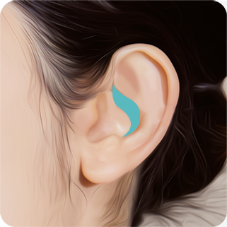 Illustration of the ear cartilage harvest site